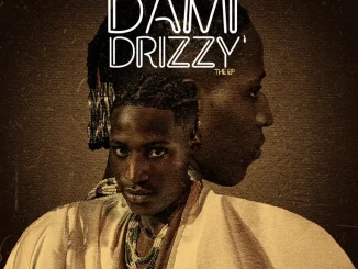 Dami Drizzy - Amin