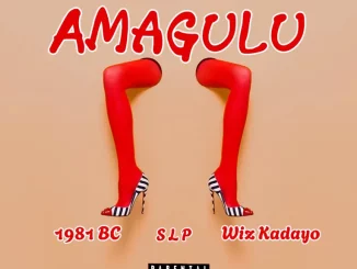 Trapex Boomin - Amagulu ft. 1981 Bloc Child, SLP & Wiz Kadayo