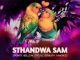 2point1 - Sthandwa Sam ft. Bello M, Epic DJ, Seneath & X-Morizo