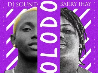 Dj Sound - Olodo ft. Barry Jhay