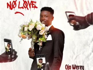 Ojo Werey - No Love