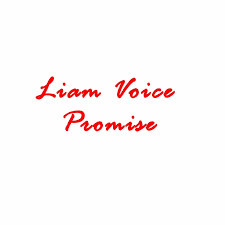 Liam Voice - Promise